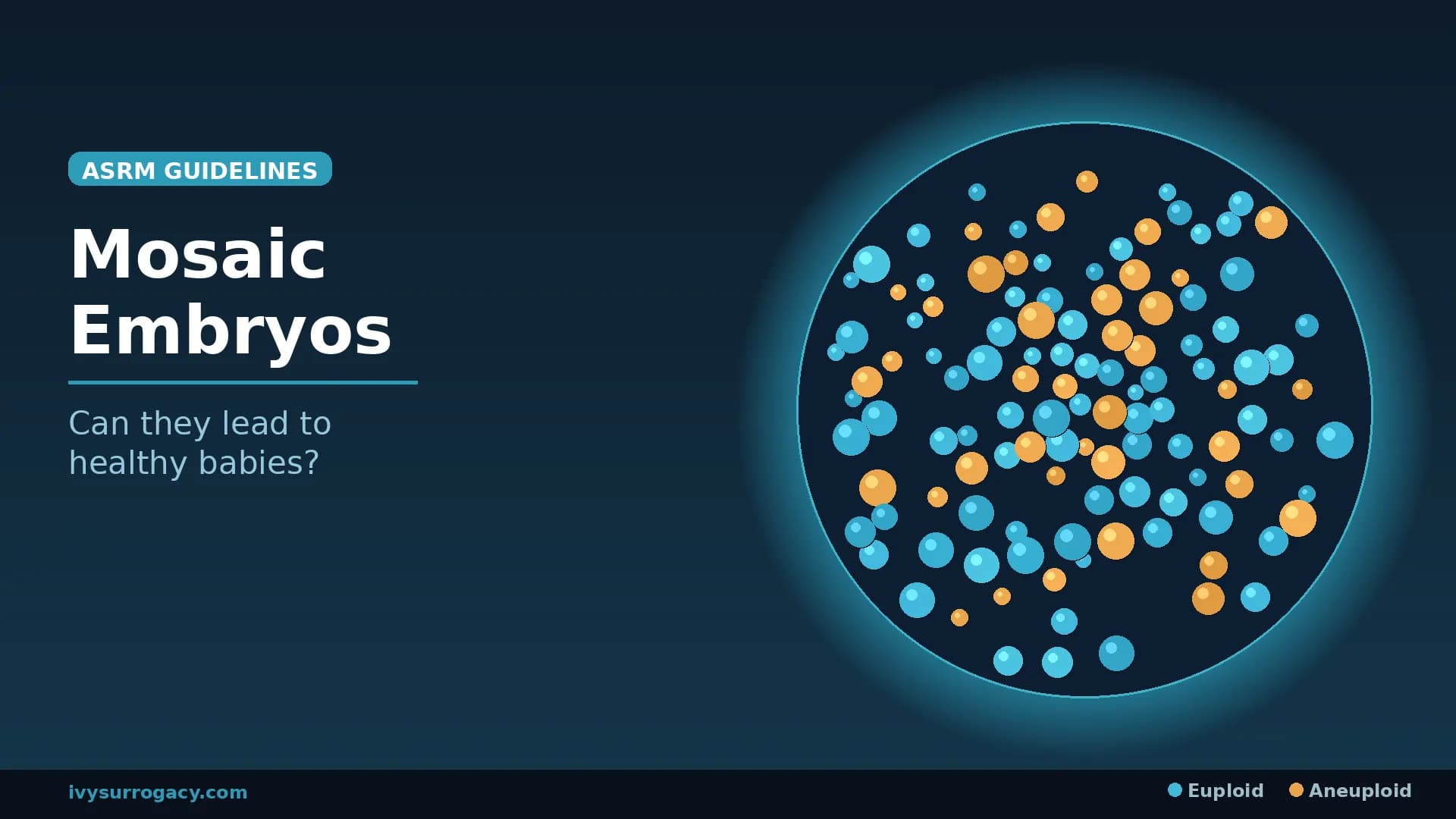Illustration of a mosaic embryo showing a mix of euploid (blue) and aneuploid (orange) cells inside a blastocyst, explaining how PGT-A detects chromosomal mosaicism. Featured image for Ivy Surrogacy's guide on mosaic embryo transfer and ASRM guidelines.